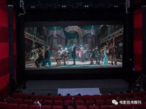 明日剧场，免费短剧，全新观影体验