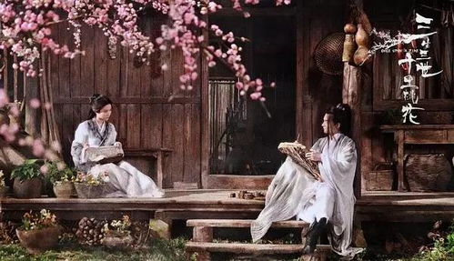 半梦花香，免费短剧的精彩世界