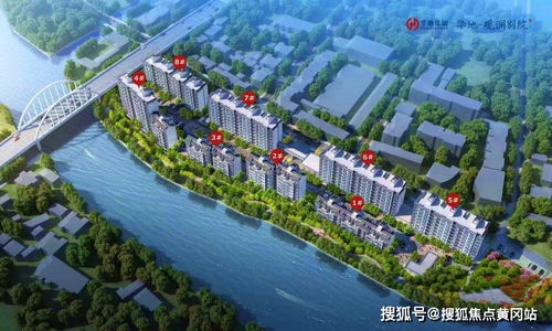 乡村潜龙，免费观看的魅力与价值