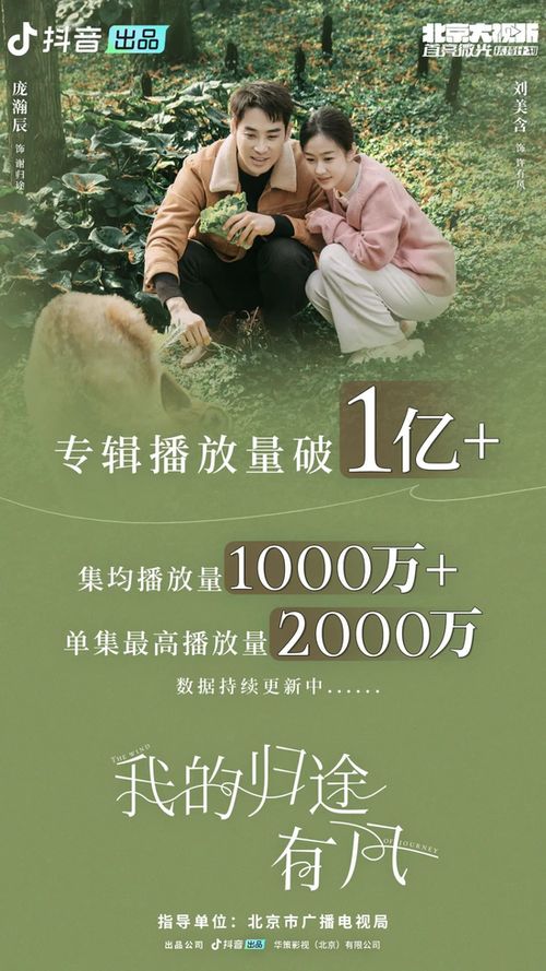 免费短剧探索，在线观看的乐趣与选择