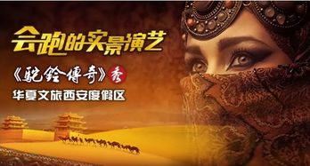 苍龙传说，十集短剧的传奇之旅免费观看