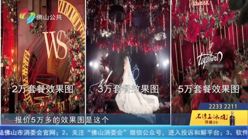 在线免费观看，逃婚新娘的浪漫与自由之旅
