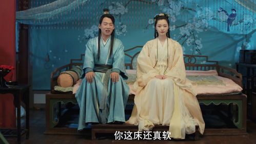赘婿高清短剧免费观看，视觉与情感的盛宴