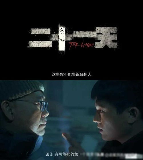 免费观看，王队破案之旅，悬疑真相交织的探案之旅