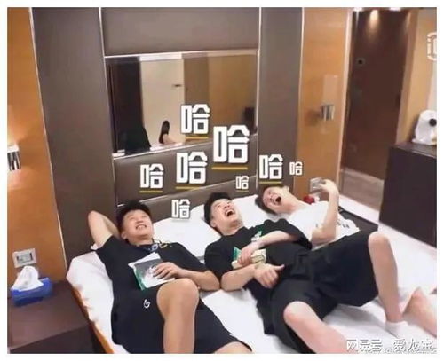 免费观看女二怀孕短剧，体验生活的真实情感之旅