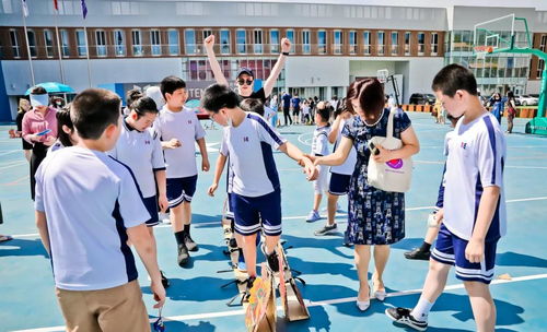 都市奶爸的魅力之旅，免费观看的快乐体验