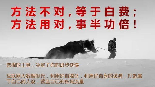 寒门逆袭，逆境中的奋斗与成功