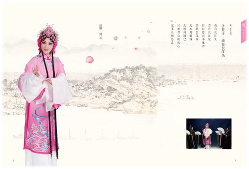 龙王群芳宴免费短剧，视觉与听觉的双重盛宴