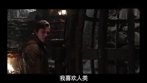 免费观看，风水道士的神秘世界短剧
