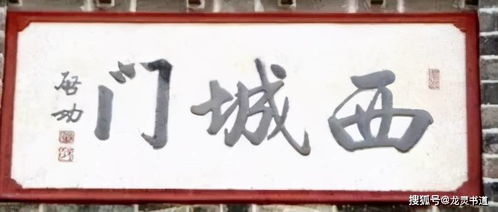 免费观看全集的短剧大观，大有铺子