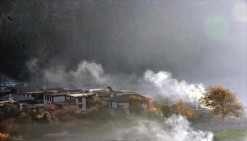 超强奶爸，免费观看的魅力之旅