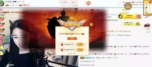 小帅临门，免费短剧的魅力与观看指南