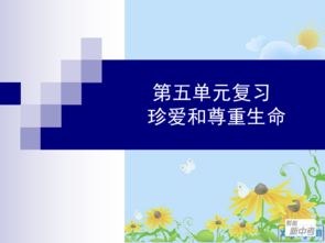 建议，远离不道德内容，珍爱网络健康 - 寻找正当的娱乐方式。