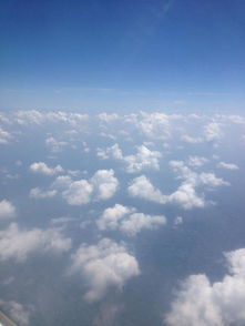 飞向蓝天之旅，免费观看全集短剧