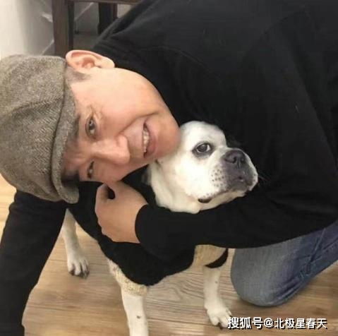 二狗短剧，免费全集中观看
