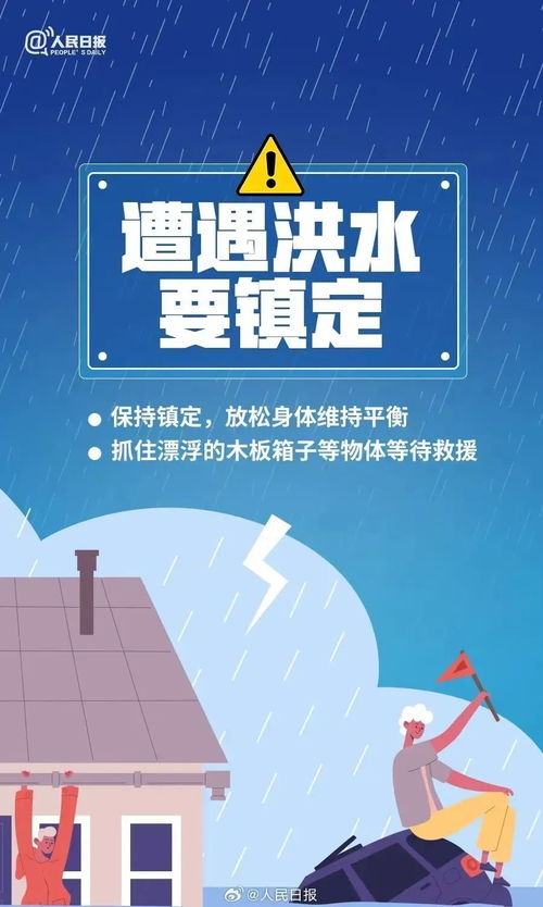 姐弟情深，免费观看不破产的短剧指南