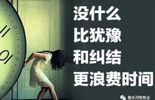 免费短剧，试探智慧与情感的考验