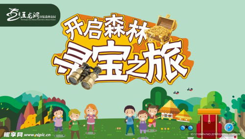 森林寻宝之旅，高清免费短剧