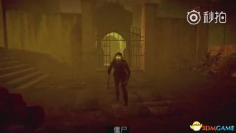 短剧片场惊魂，免费悬疑游戏之旅