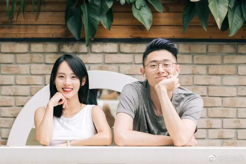 完美隐婚，甜蜜短剧免费观看指南