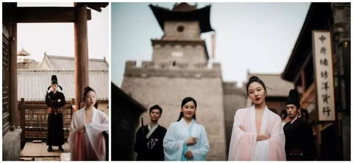 苏小姐的电视短剧之旅，免费观看的魅力与乐趣体验