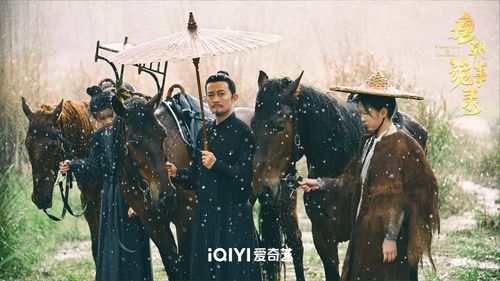 免费探案悬疑小短剧，探索未知真相之旅