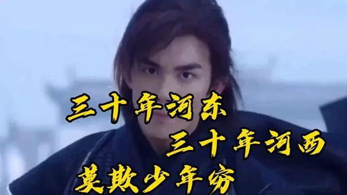 赘婿之路，免费畅享爽文短剧的精彩之旅