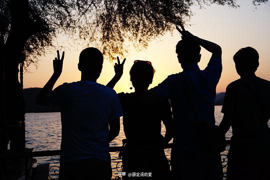 爱的失落，情感波折的短剧之旅