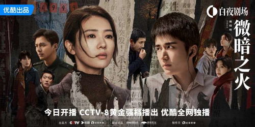 狼性总裁，免费短剧的魅力之旅