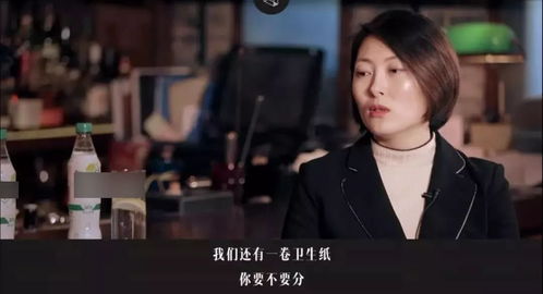 婚变记，情感纠葛续集