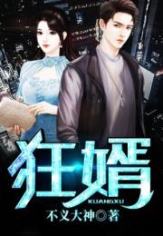 狂婿全集免费观看，视觉盛宴的深度解析