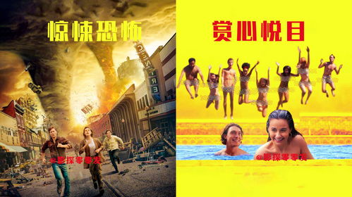 免费观看，35集精彩剧情决择短剧，不容错过！