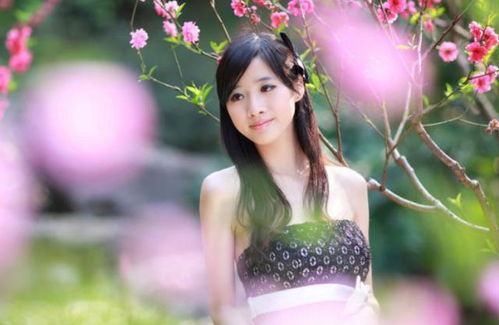 天秤女的多彩生活，免费短剧探索