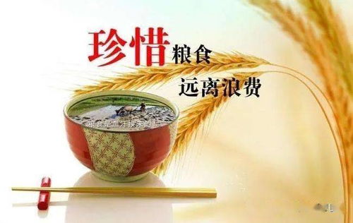 建议，从我做起，珍惜粮食——免费观看粮食主题短剧全集
