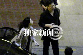 神秘男友全集免费观看，短剧魅力之旅的探索