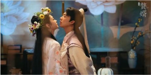 赘婿之妻，出轨背后的深度解析——免费观看指南