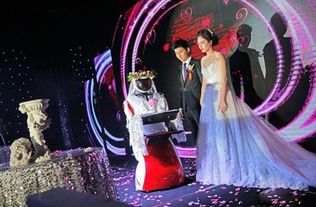 免费观看短剧时光新娘全集，视觉与情感的双重盛宴