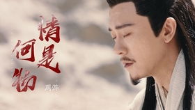 龙福海短剧全集，不容错过的精彩作品