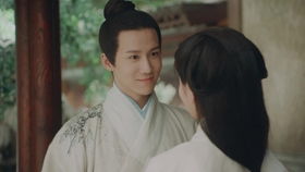 免费观看高清短剧，大宝师父的精彩演绎