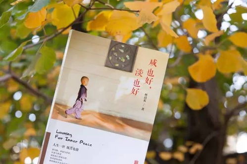 品味人生遗憾，免费高清短剧尽享