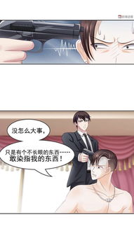 总裁风范，免费短剧与动漫的魅力