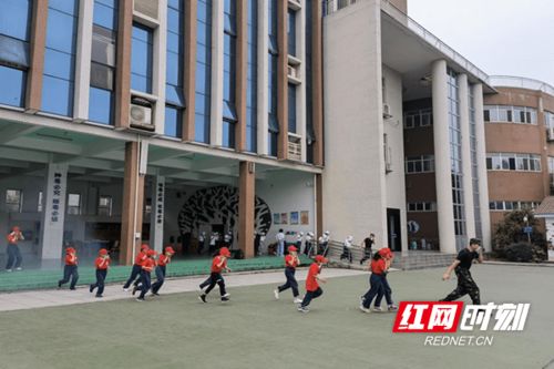 免费观看，兄妹生活短剧，温馨时光共享