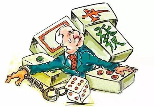 金花赌博短剧，警钟长鸣，远离赌途