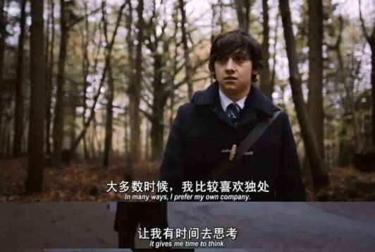 单身男生活短剧免费观看，探索现代生活的娱乐新选择