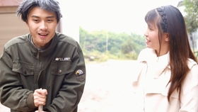 秦风婉儿，免费短剧