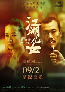 桑总力荐，免费观看精彩短剧的绝佳平台