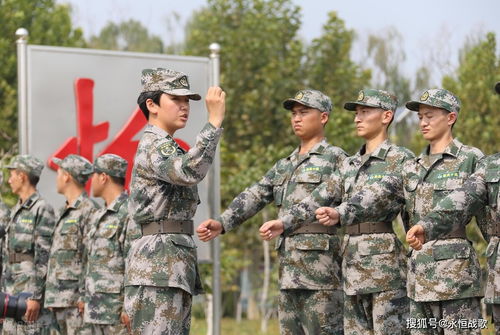 校园奋斗之路，免费在线观看短剧的精彩旅程