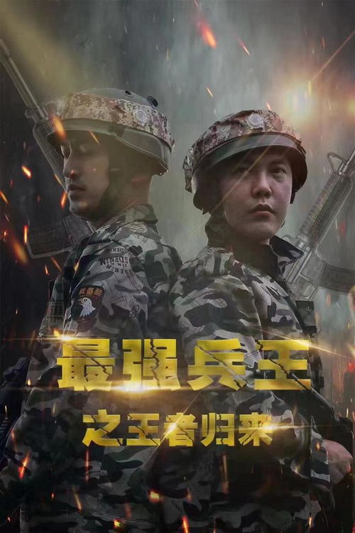 王者归来免费短剧在线观看