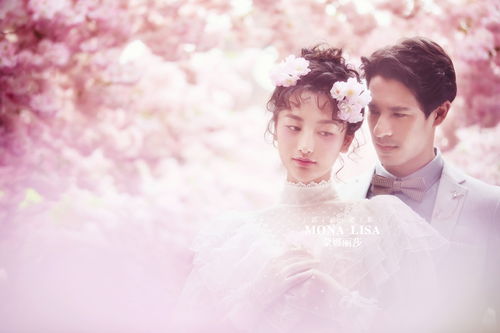 逃婚的婚纱梦，高清短剧免费观看