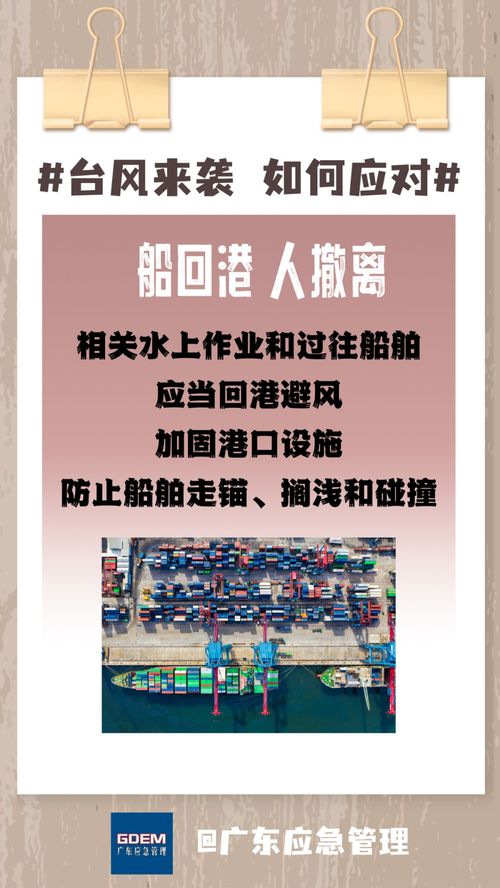 超强台风下的宅家乐，免费短剧欣赏，安全欢度风暴天